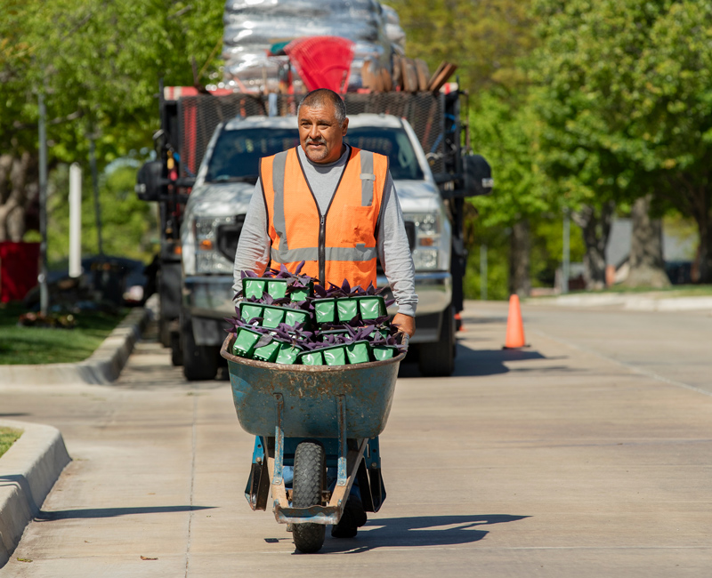 Anticipation of Outdoor Care Needs | Northwest Lawn