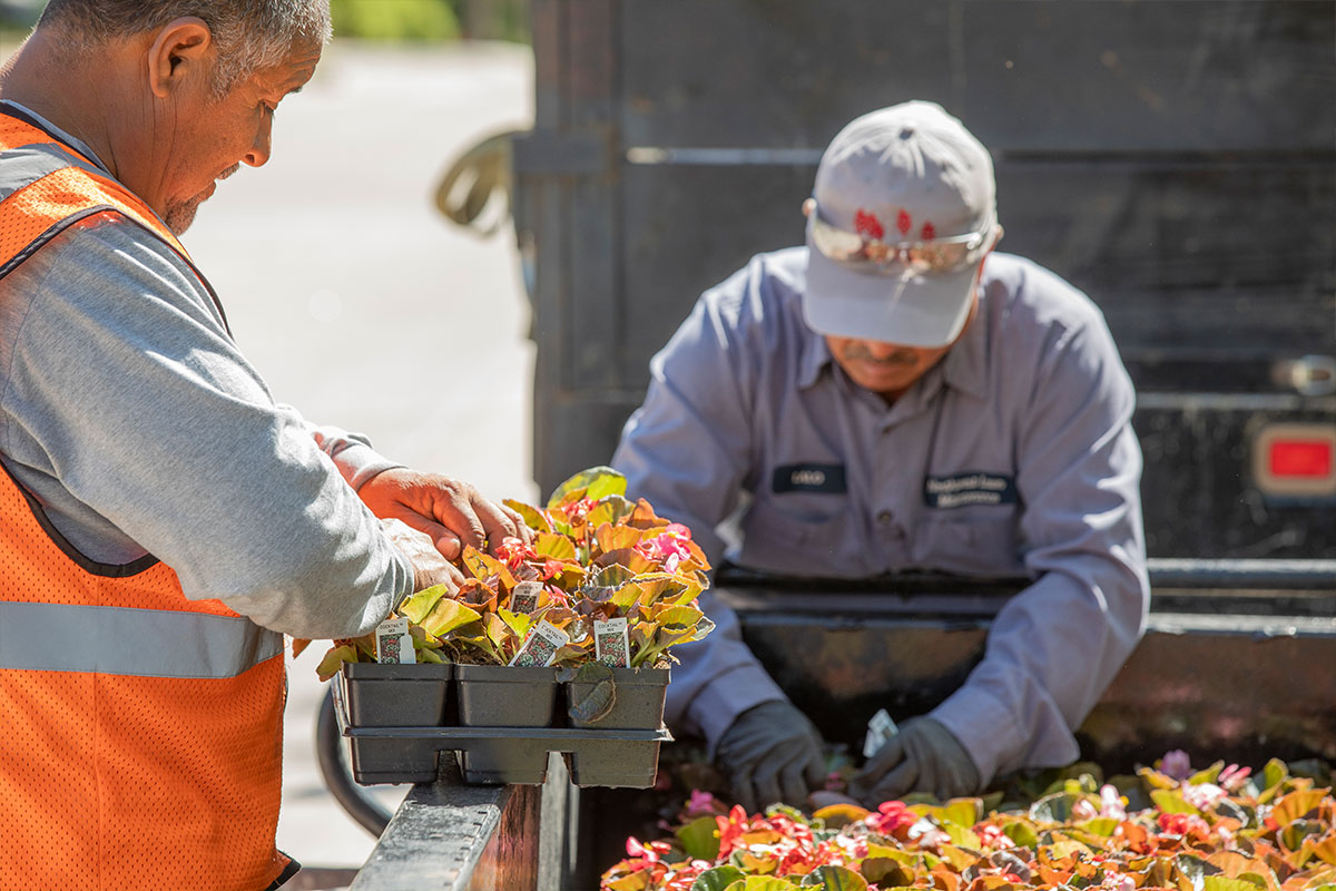 Garden Maintenance And Clean Up Northwest Lawn Care And Maintenance Oklahoma