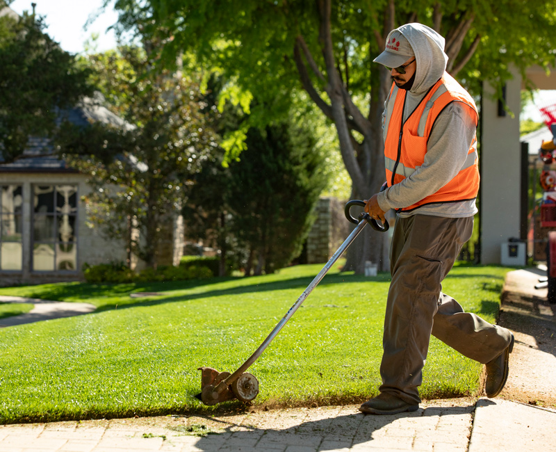 Interwoven Ecosystem of Outdoor Care | Northwest Lawn