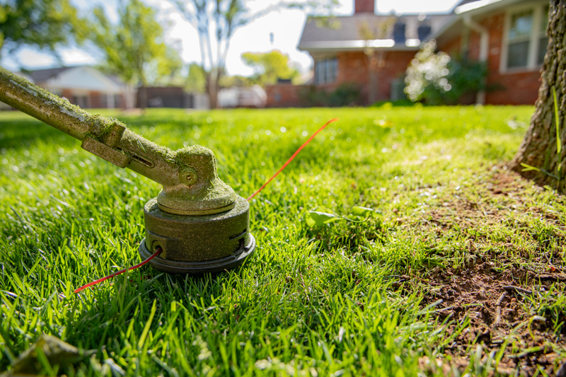 Lawn and Outdoor Care Experts in Oklahoma City & Edmond | Northwest Lawn