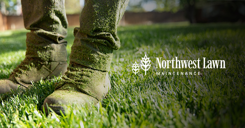 Home | Northwest Lawn Maintenance | Serving OKC and Edmond